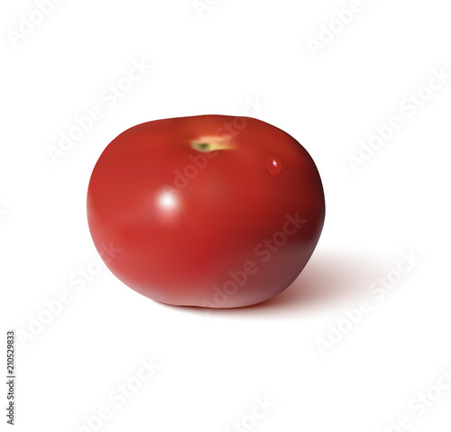 Tomato red realistic