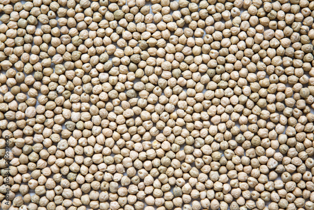 Dried chickpeas close-up, food background. Dried chickpeas close-up, food background.