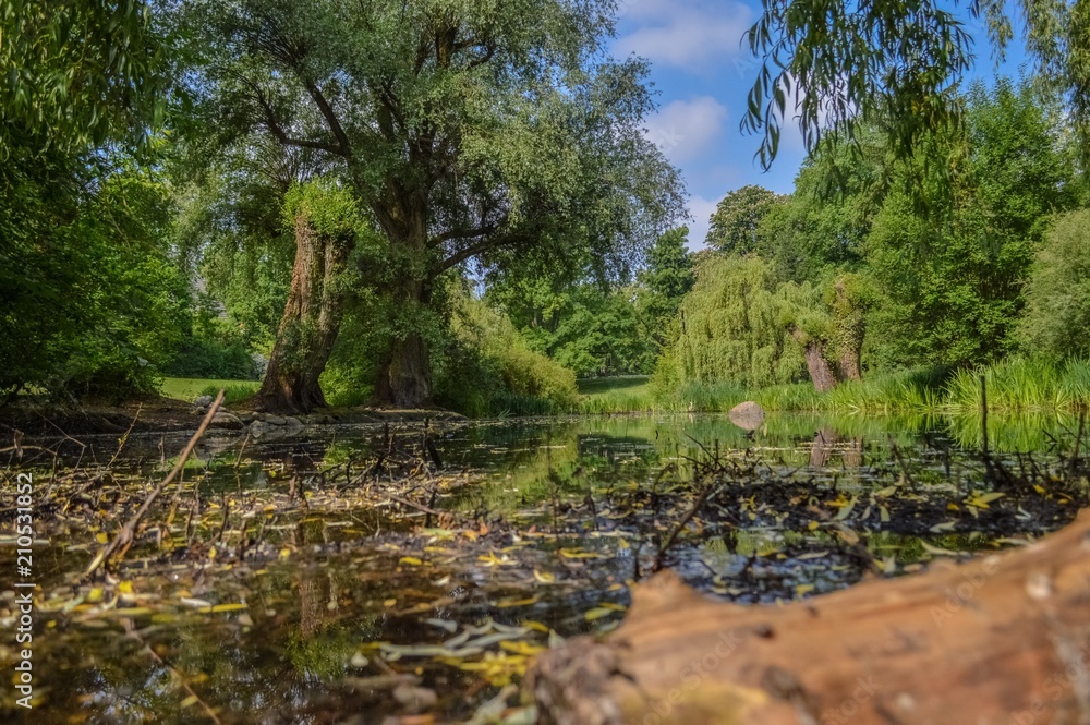 Obraz premium Der See