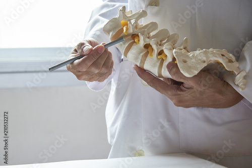 A doctor pointing at lumbar vertebra model in medical office