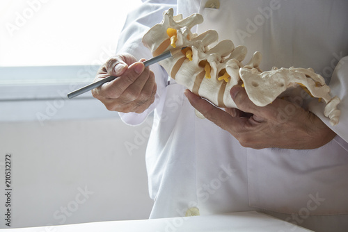 Fotografia A doctor  pointing at lumbar vertebra model in medical office