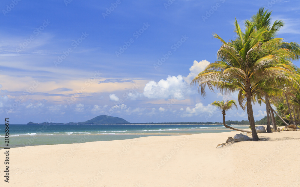 Coconut Trees On The White Beach.