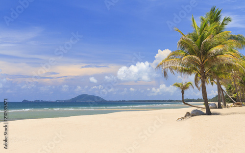 Coconut Trees On The White Beach.