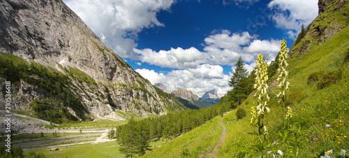 Valley in Dolomites with Monte Pelmo on the background