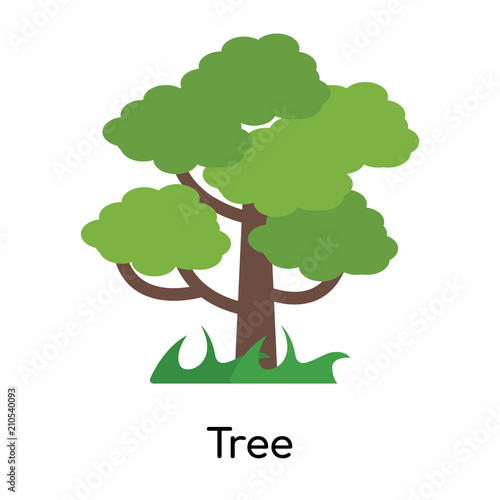 Tree icon vector sign and symbol isolated on white background  Tree logo concept