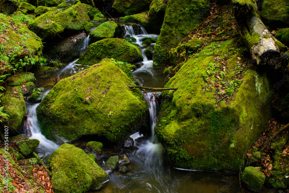 Wasserlauf mit Moos Wasserlauf mit Moos