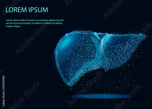 Abstract image of a Human Liver Internal Organ . Abstract image of a starry sky or space, consisting of points, lines, and shapes in the form of planets, stars and the universe. Low poly vector