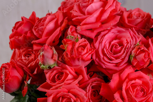 Red roses flowers