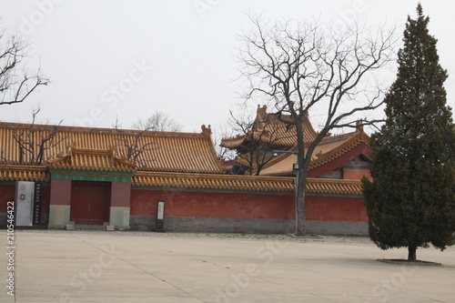 pagoda in asia in spring 