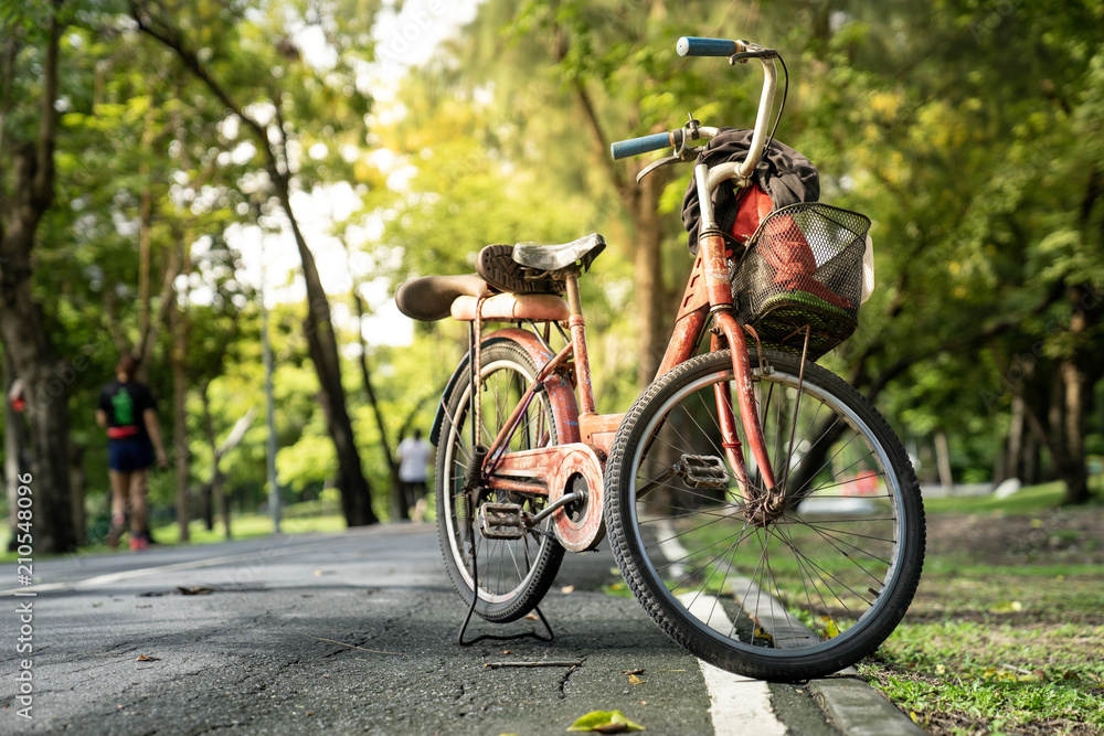 Fototapeta premium close up old vintage bicycle park on concrete road in green park
