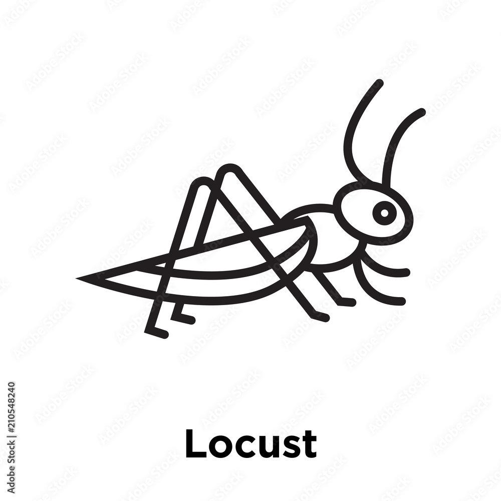 Locust icon vector sign and symbol isolated on white background, Locust ...