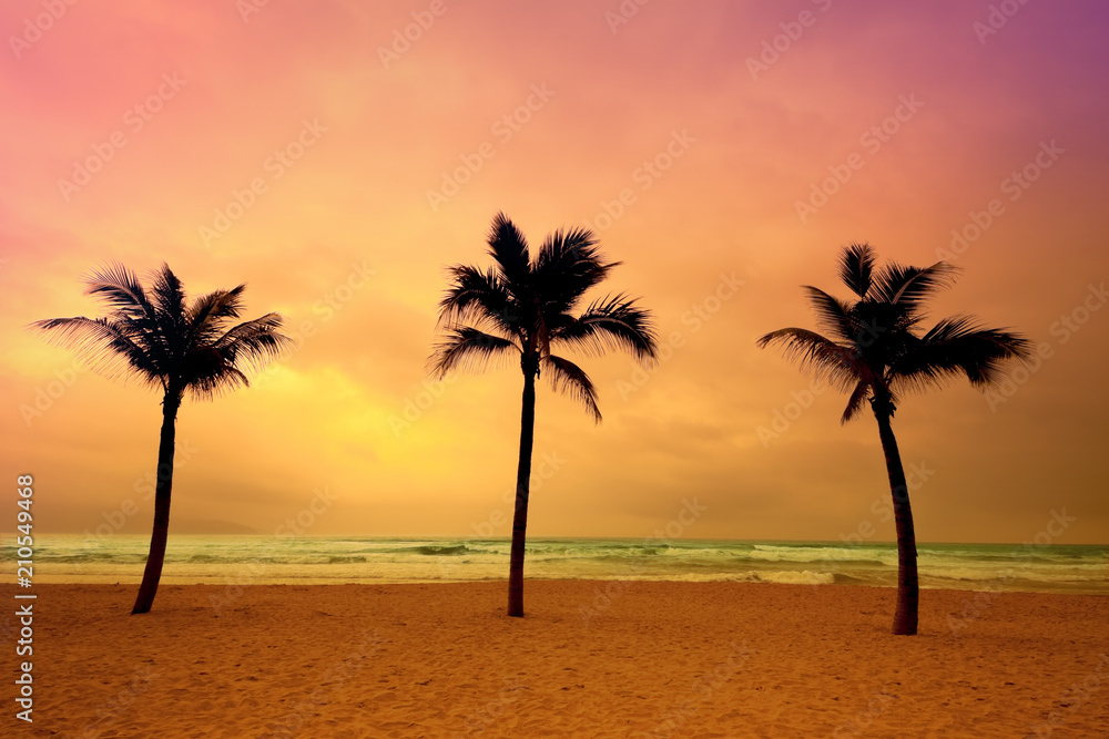 silhouette of coconut palm trees on sand beach at twilight
