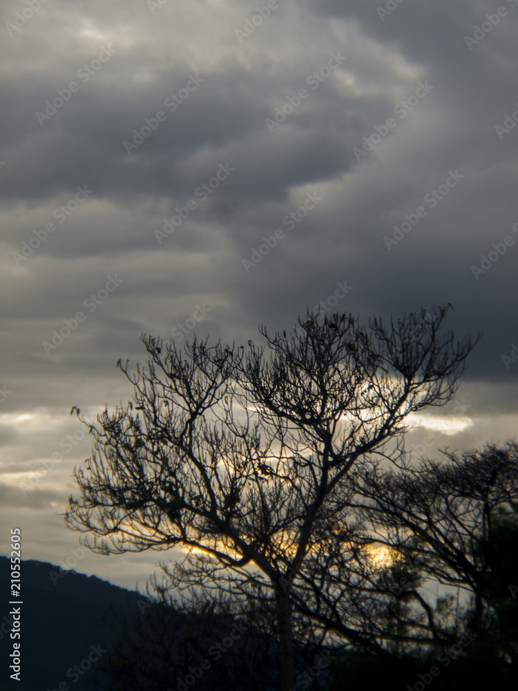 Clouds, rain, sky / The sky in the rainy season of tropical countries Clouds, rain, sky / The sky in the rainy season of tropical countries