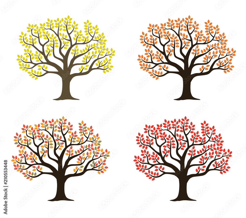 木 紅葉のイラストセット Stock Vector Adobe Stock 木 紅葉のイラストセット Stock Vector Adobe Stock
