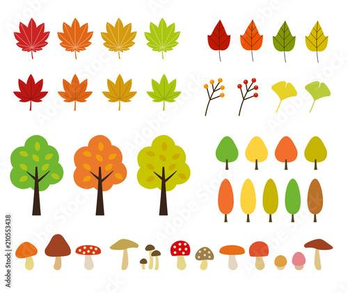 秋の植物・紅葉｜イラストセット