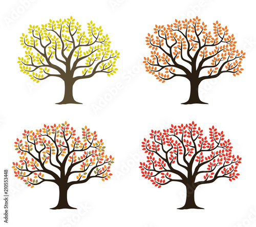 木 紅葉のイラストセット Stock ベクター Adobe Stock 木 紅葉のイラストセット Stock ベクター Adobe Stock