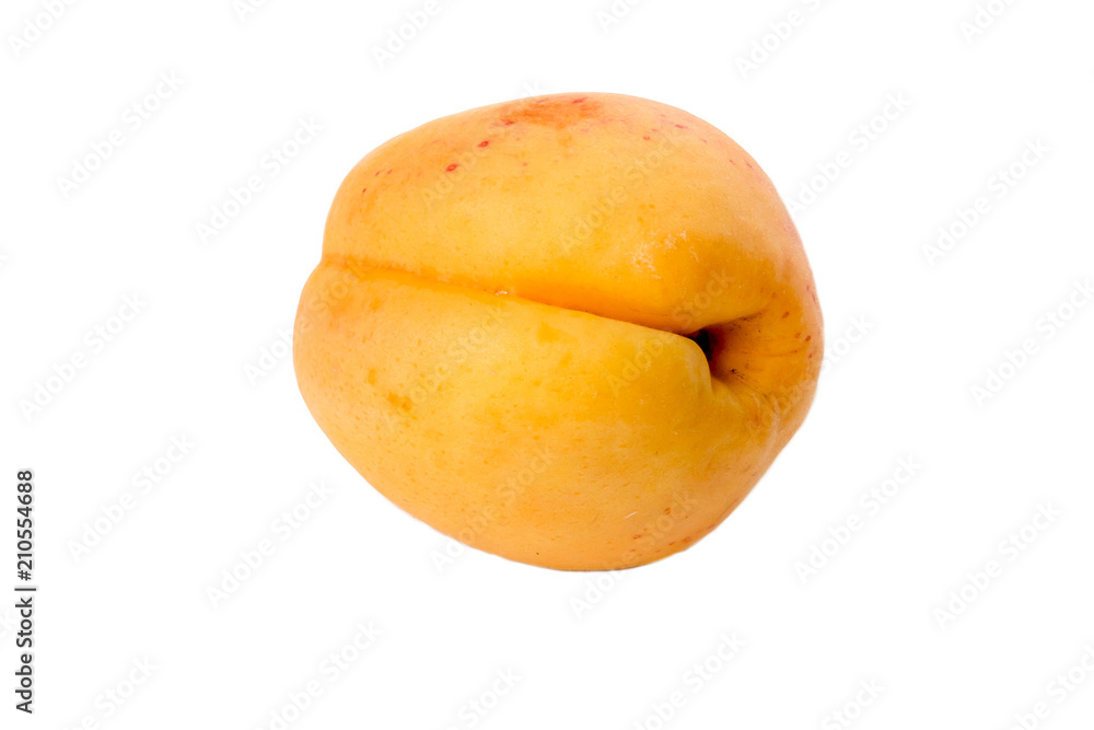 apricots isolated on white background apricots isolated on white background