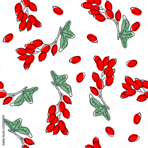 Barberry plant with red berries seamless pattern. Vector illustation.