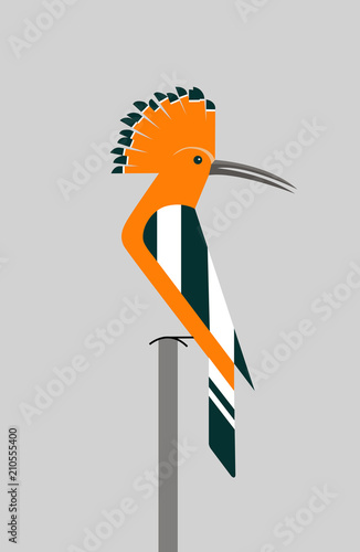 Hoopoe