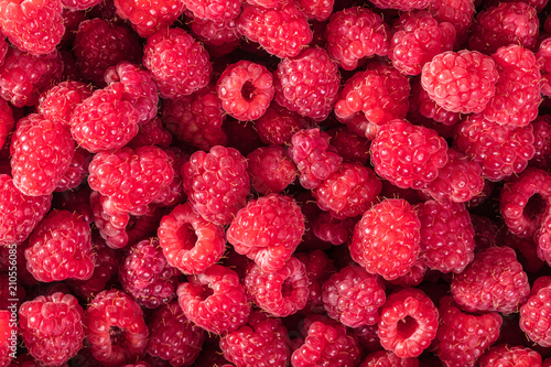 fresh raspberries closeup