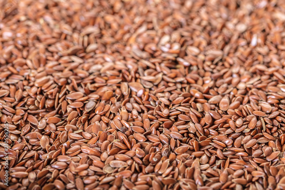 flax seed texture closeup flax seed texture closeup
