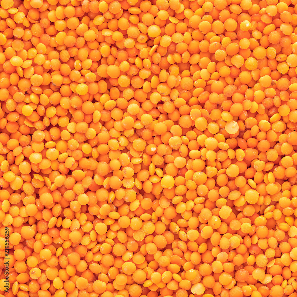Fototapeta premium raw lentils texture closeup