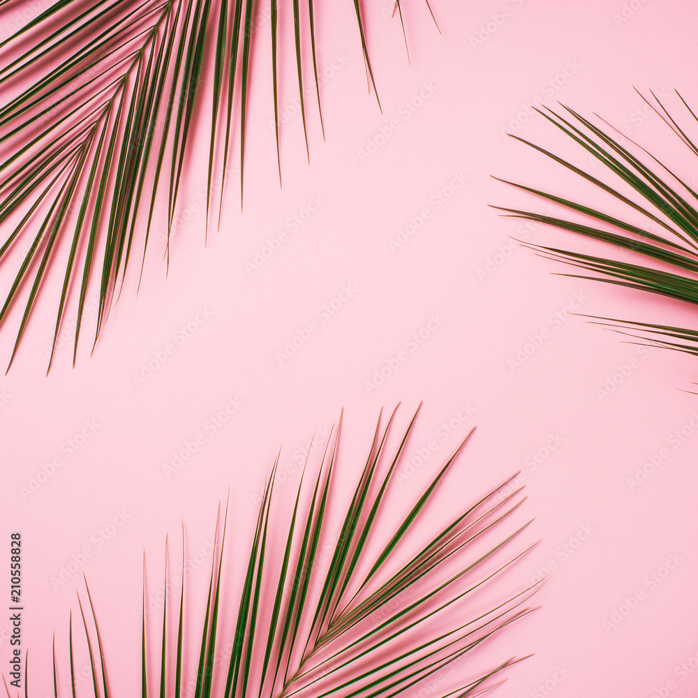 Obraz premium Tropical flat lay with palm leaves