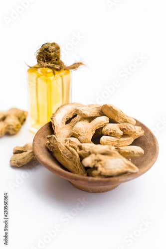 Ayurveidc herb dried ginger with its extract oil in a transparent bottle isolated on white used in many ayurvedic treatments. photo