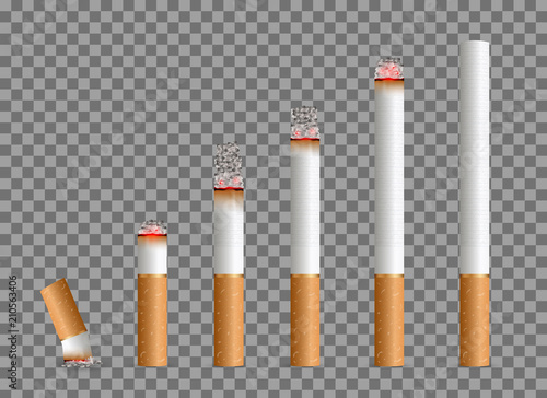Creative vector illustration of realistic cigarette set isolated on transparent background. Art design different stages of burn. Abstract concept graphic element photo