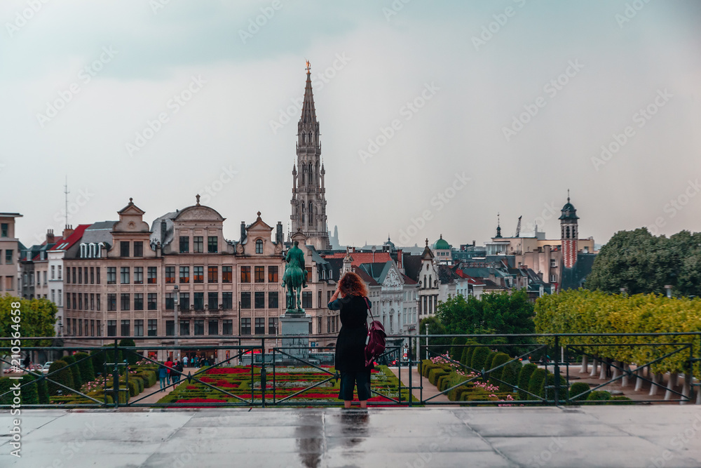 Obraz premium view of Brussels and the royal gardens from the observation deck