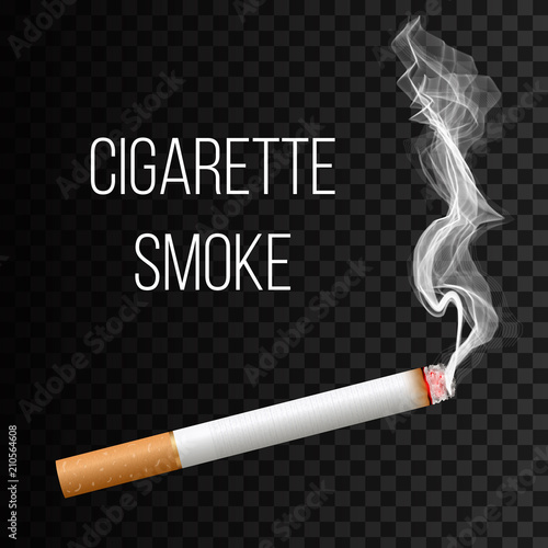 Creative vector illustration of realistic cigarette smoke isolated on transparent background. Art design different stages of burn. Abstract concept graphic element