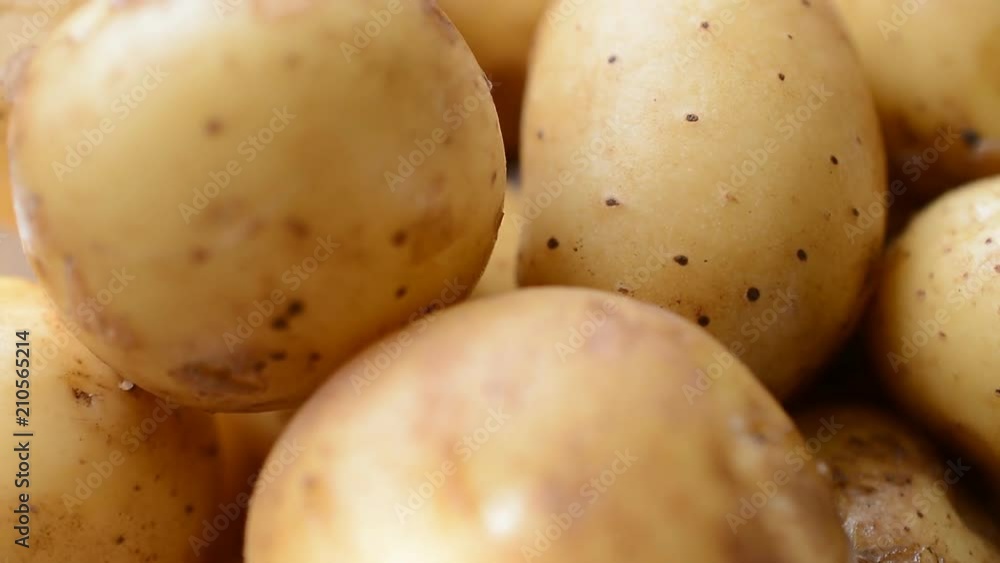 young potatoes close up background right rotated young potatoes close up background right rotated