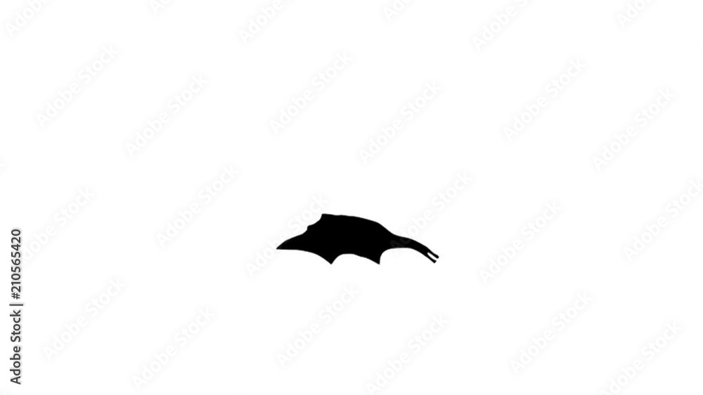 Flying bat, animation on the white background Flying bat, animation on the white background