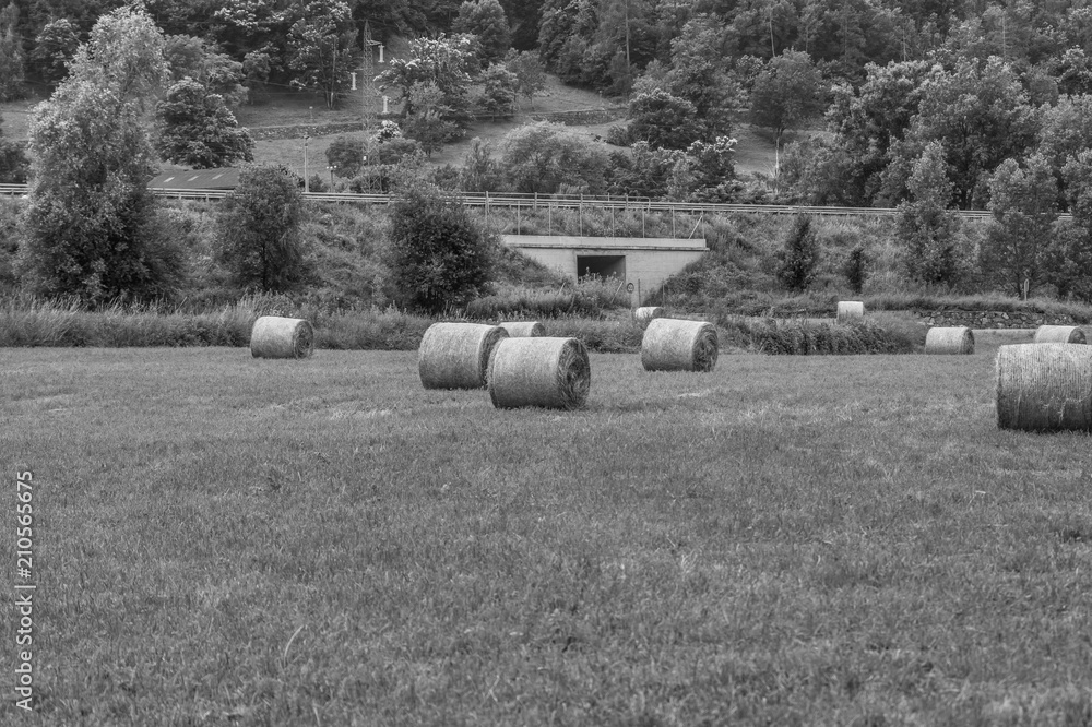 black and white countryside landscape with bales of hay