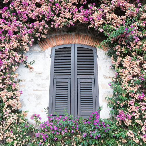 View of a characteristic green window enclosed with plants around with flowers of various colors. © Mario