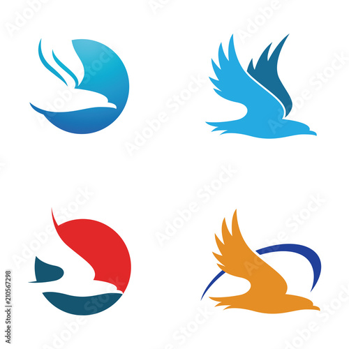 Fototapeta Naklejka Na Ścianę i Meble -  Simple Hawk Eagle Logo Symbol Template