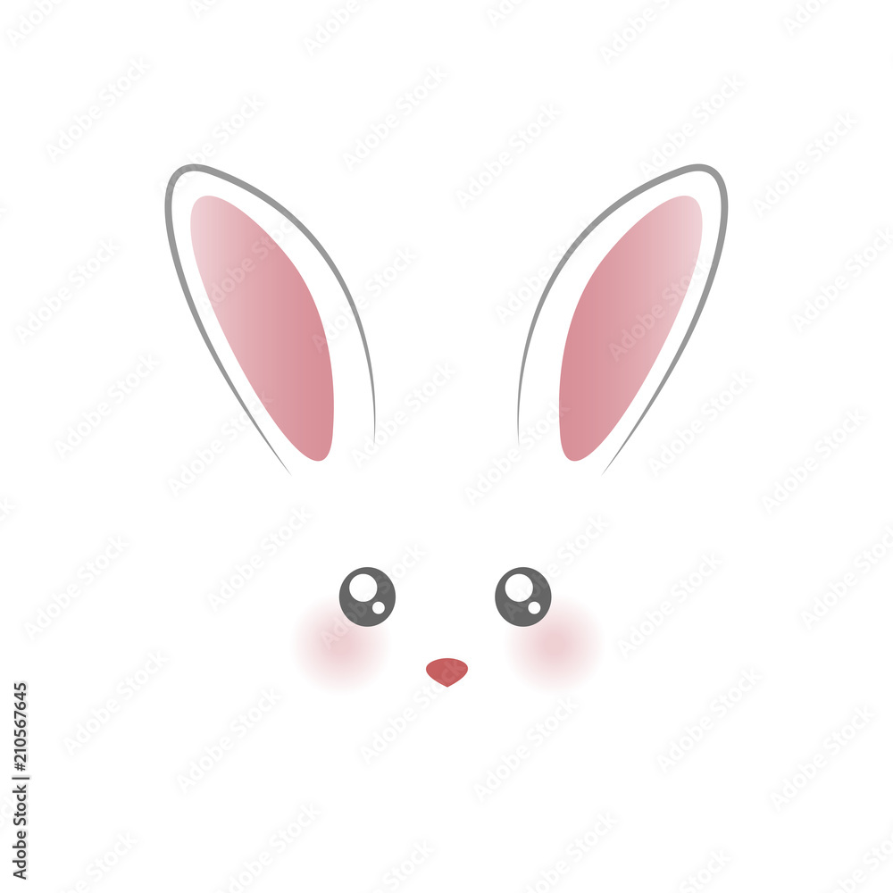 Cute rabbit face Cute rabbit face
