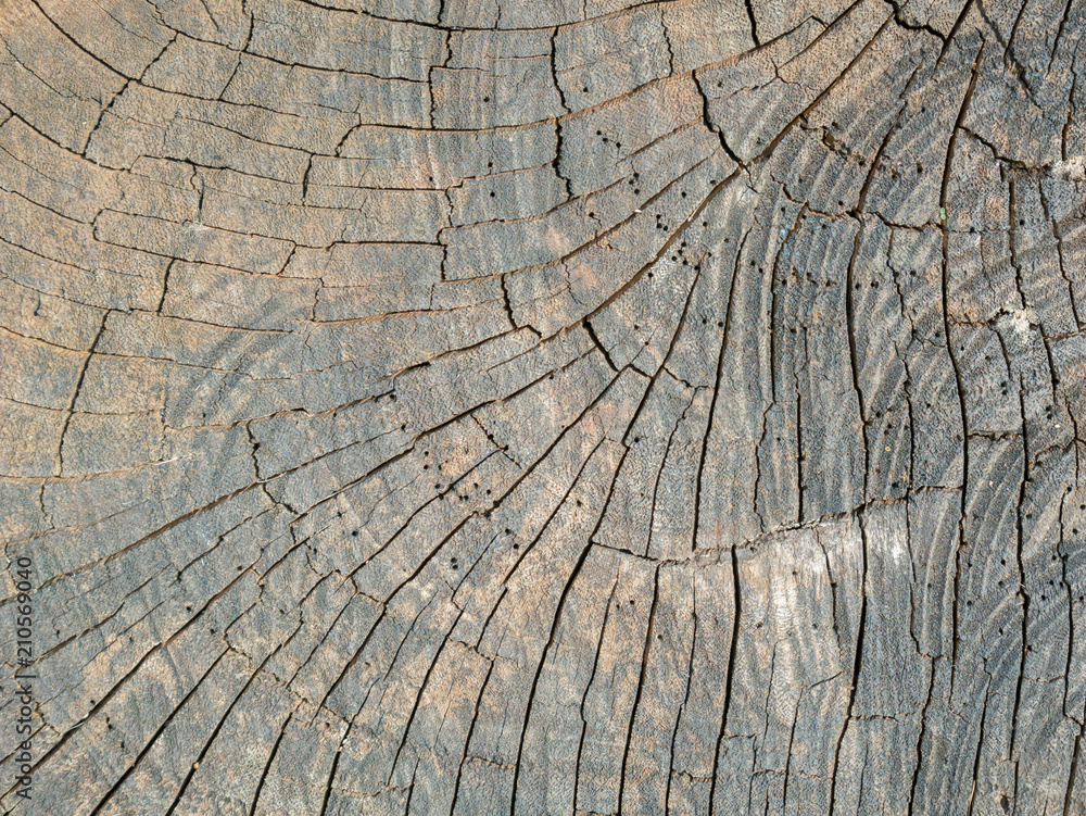 Fototapeta premium Closeup nature surface texture style of wooden, brick, wall , stone sheet 