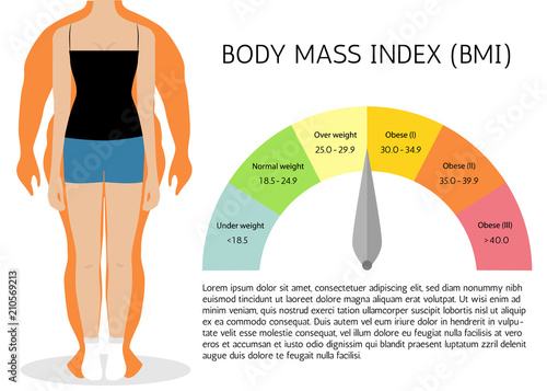 BMI or Body Mass Index Infographic Chart.Vector illustration.