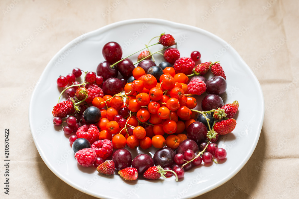 Strawberries, raspberries, red and black currants, cherry, rowan berries in a plate; harvested berries, food, health, vitamin concept Strawberries, raspberries, red and black currants, cherry, rowan berries in a plate; harvested berries, food, health, vitamin concept