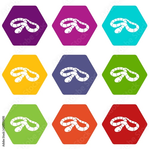 Red milk snake icons 9 set coloful isolated on white for web