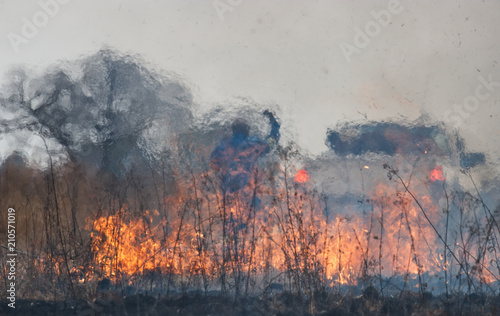 Fotografie, Obraz Burning a firebreak