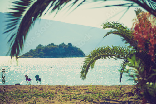 Small palm tree on beach © Voyagerix