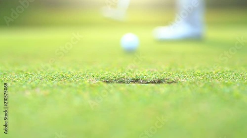 Golfer putting golf ball down hole to winner in beautiful golf course on sunset photo