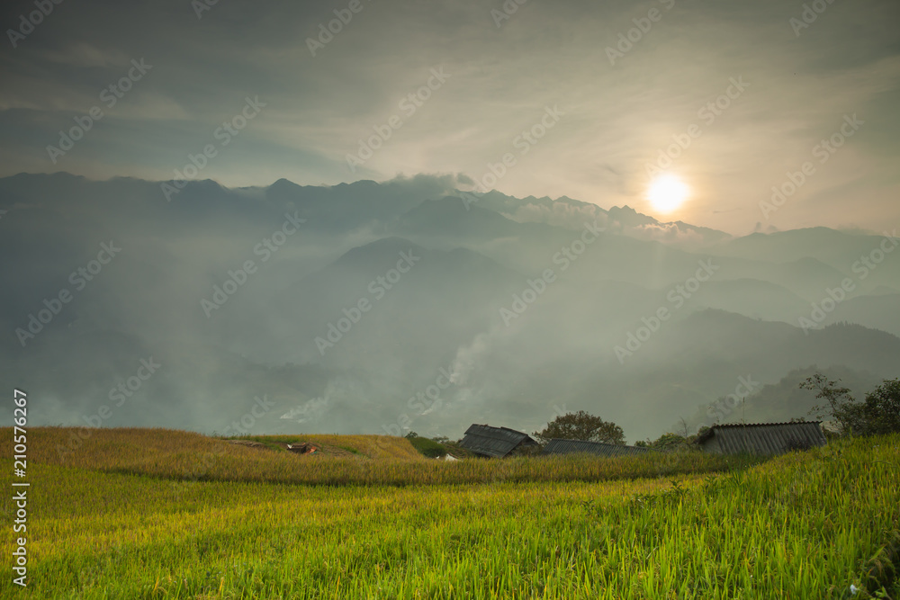 Yellow of rice terrace on hill above cloudy sky 