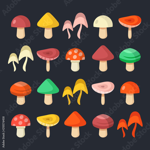 Mushrooms set. Colorful mushrooms collection. Modern graphic elements. Flat design style. Vector illustration