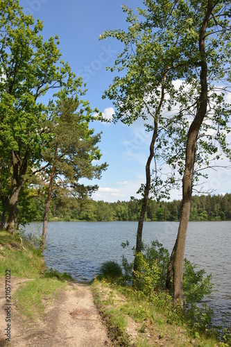 Lake and trees