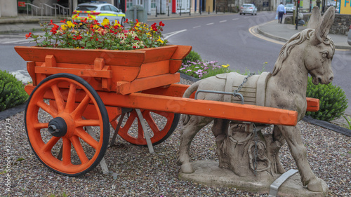 Canvas Print Irlande - Bantry, Ane et sa cariole sur un rond-point