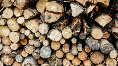 wood pile background