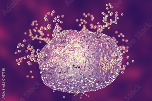 Mast cell releasing histamine during allergic response, 3D illustration photo